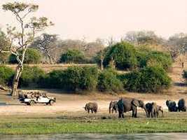 Night Game Drives, Pilanesberg National Park Night Game Drives, Pilanesberg National Park